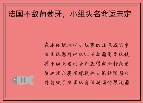 法国不敌葡萄牙，小组头名命运未定